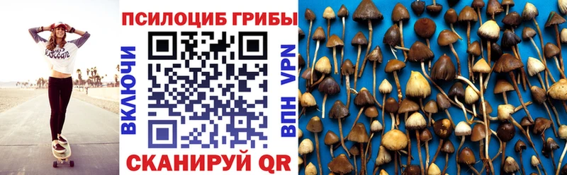 наркошоп  Беломорск  Галлюциногенные грибы Psilocybe 